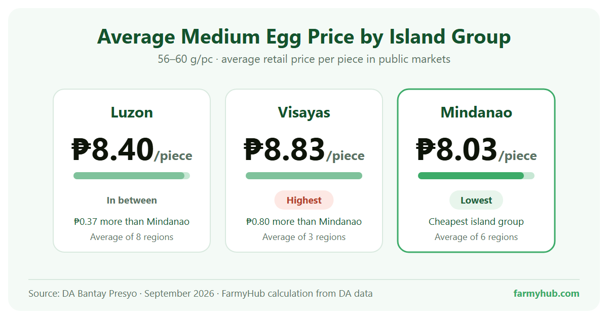 Average medium white egg price by island group in the Philippines, September 2026: Luzon ₱8.40, Visayas ₱8.83, Mindanao ₱8.03 per piece