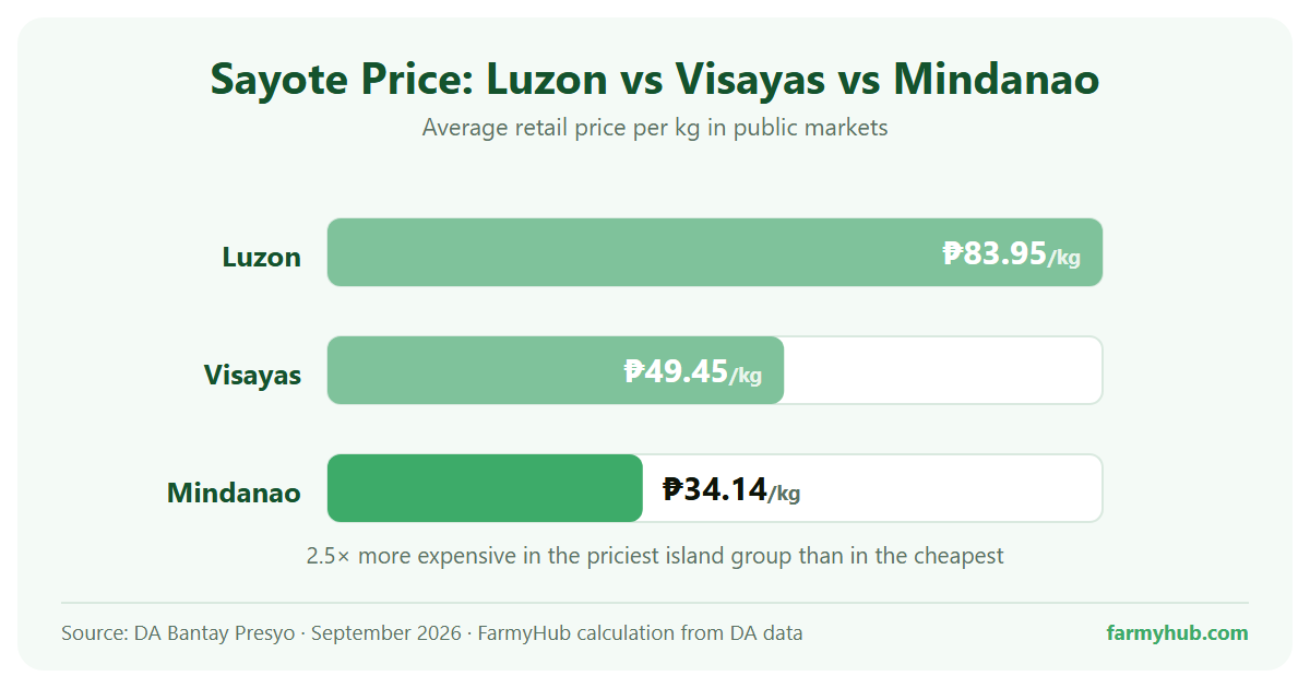 Sayote price by island group in the Philippines, September 2026: Luzon ₱83.95, Visayas ₱49.45, Mindanao ₱34.14 per kilo