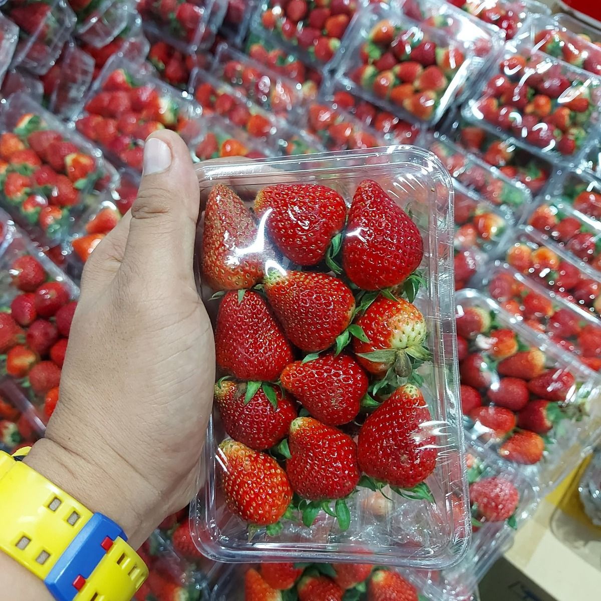 Fresh strawberries from Jun Gumba, a fruit supplier in Cubao, Quezon City