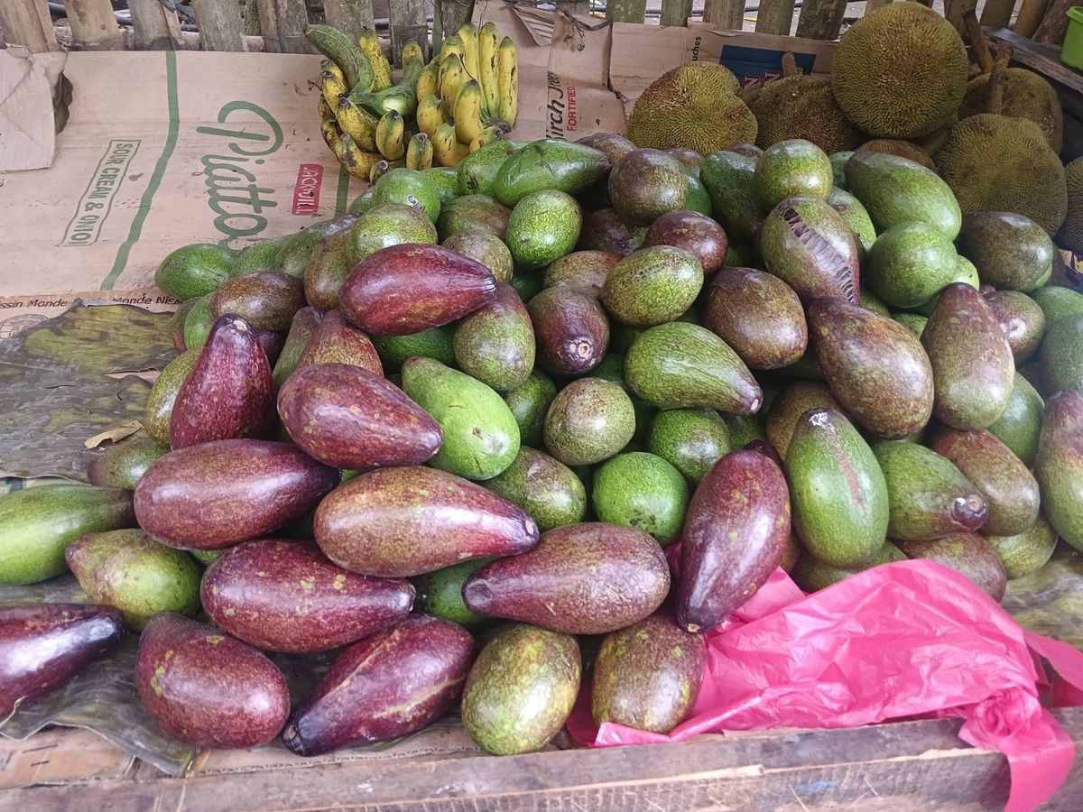 Avocados from Jennifer Espares Empresa, a fruit seller in Davao City