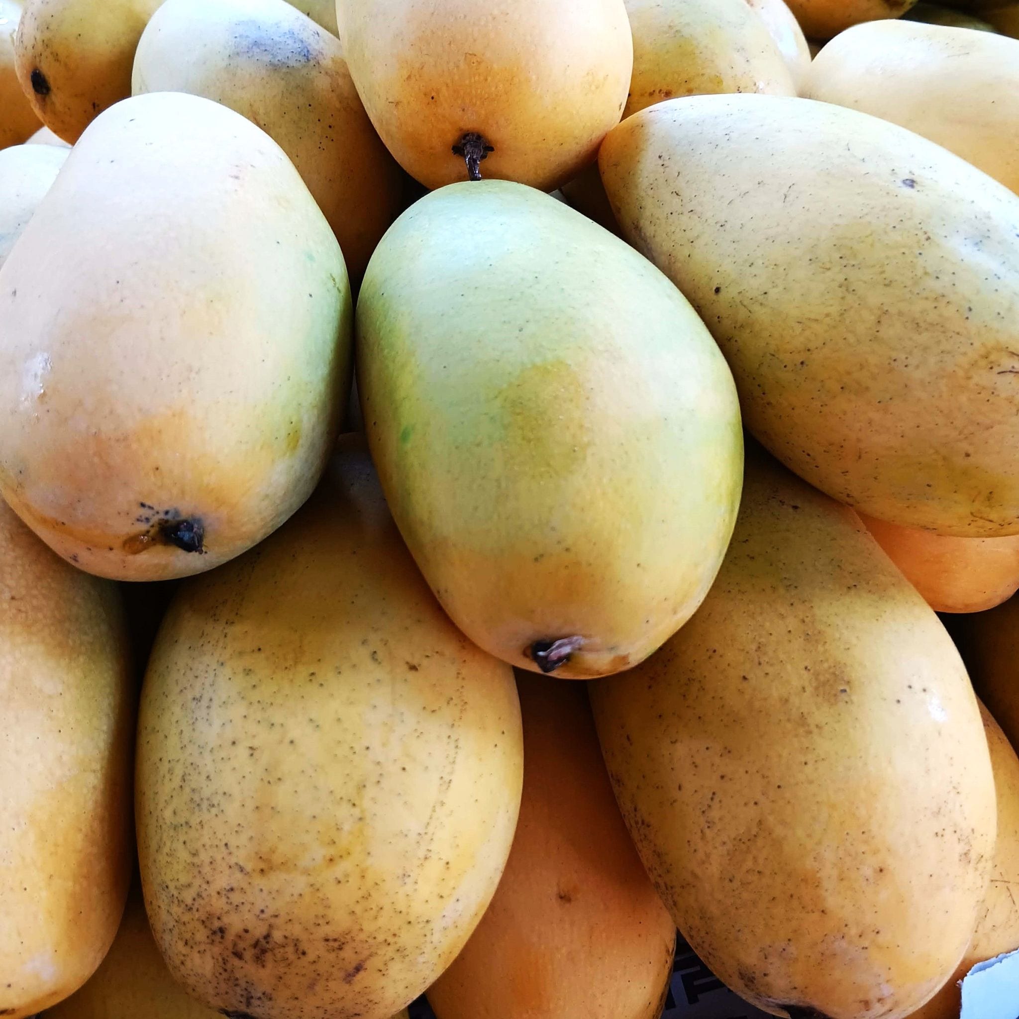 Sweet mangoes from the Lanesi Ornamentals farm in Claveria, Misamis Oriental