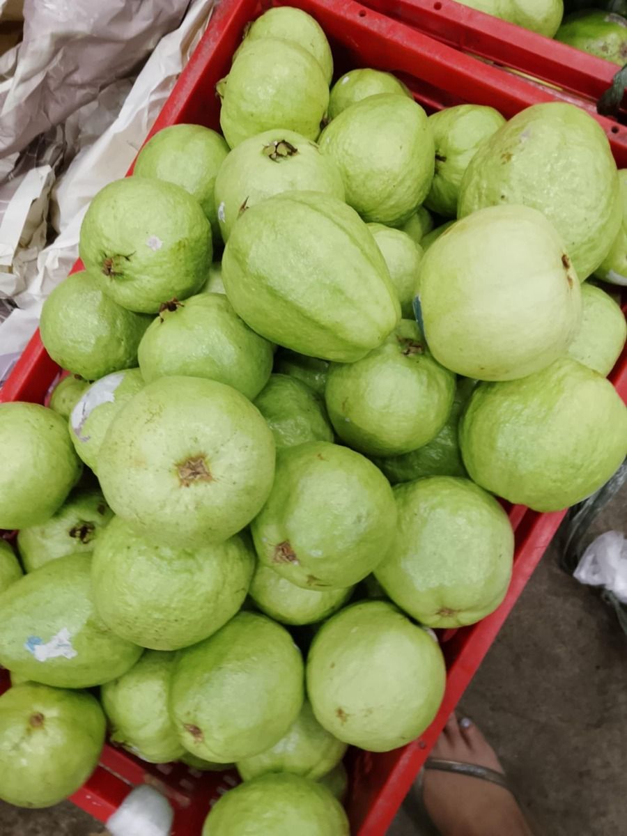 Guava (bayabas) from Marjelyn Cangas, a fruit supplier in Dasmariñas, Cavite