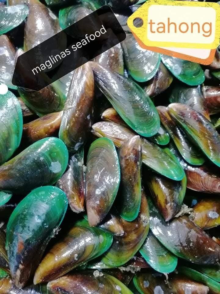 Fresh tahong (mussels) from Christian Maglinas, a seafood supplier in Tondo, Manila