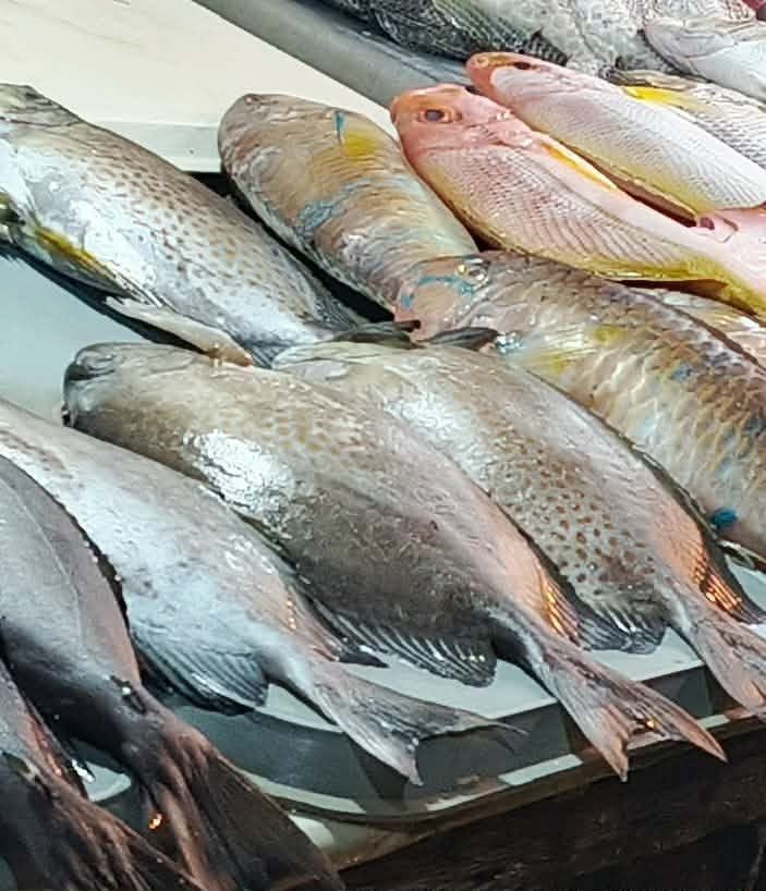 Fresh fish on a market stall from Jeremiah Rosales in Zamboanga City