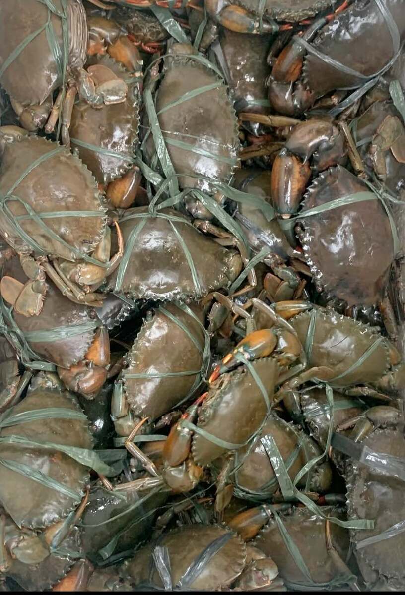 Live crabs from les Yve, a seafood seller in Davao City