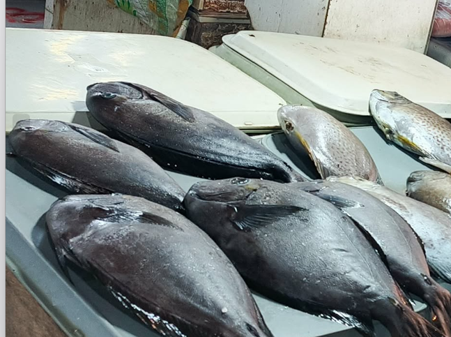 Fresh pampano (pompano) fish at a market stall in Zamboanga City