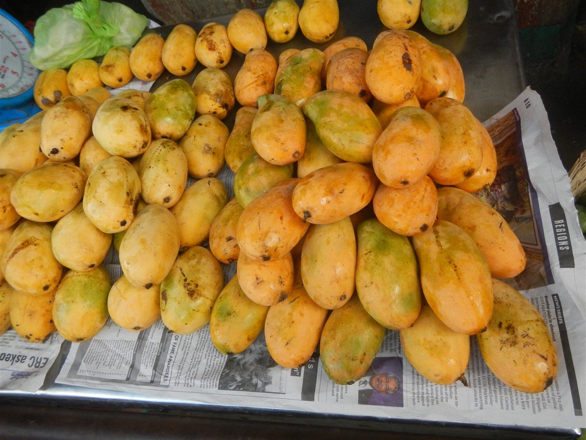 Ripe Philippine mangoes for sale at Bulakan public market in Bulacan