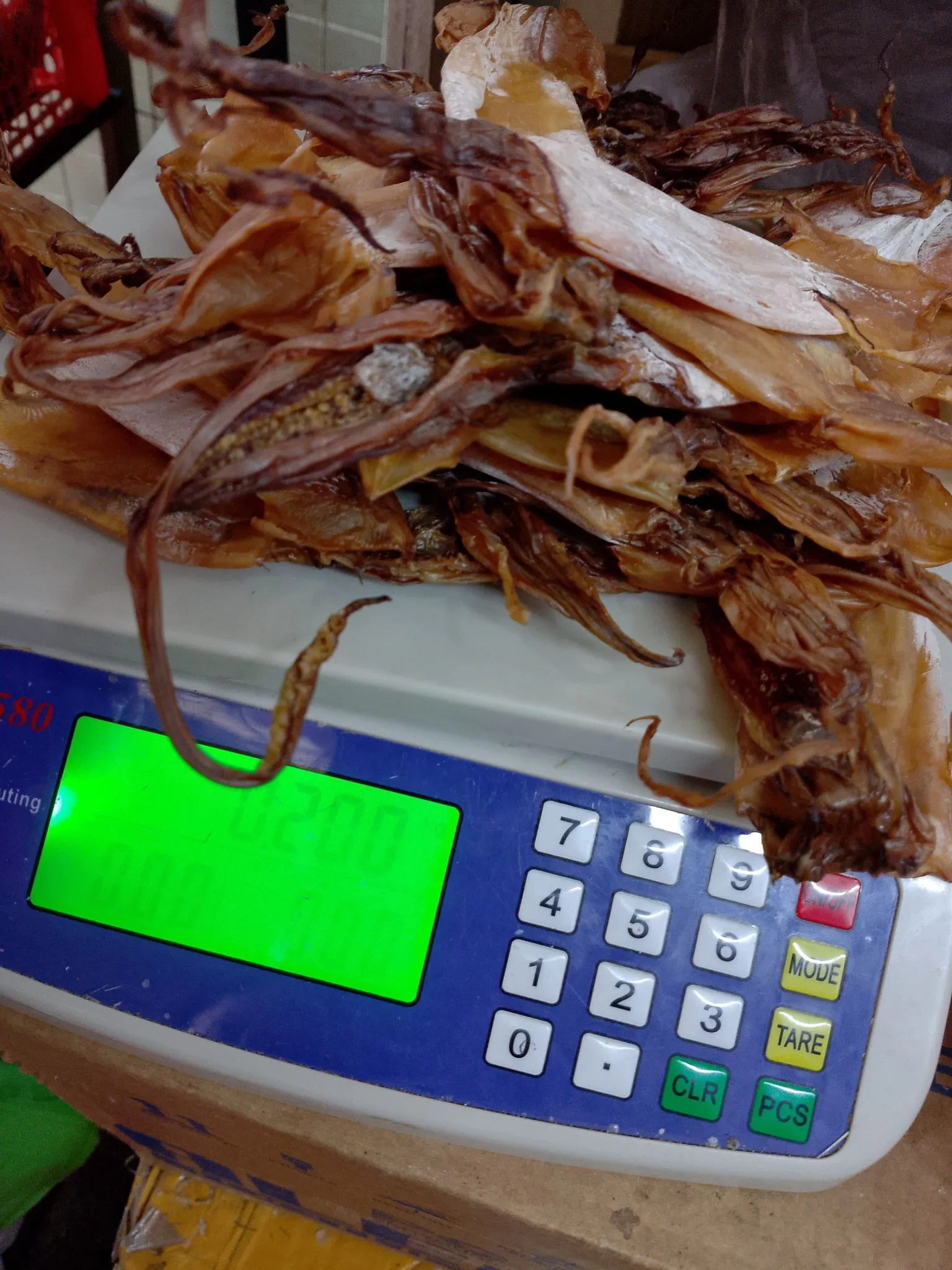 Dried pusit - BUO-WHOLE 