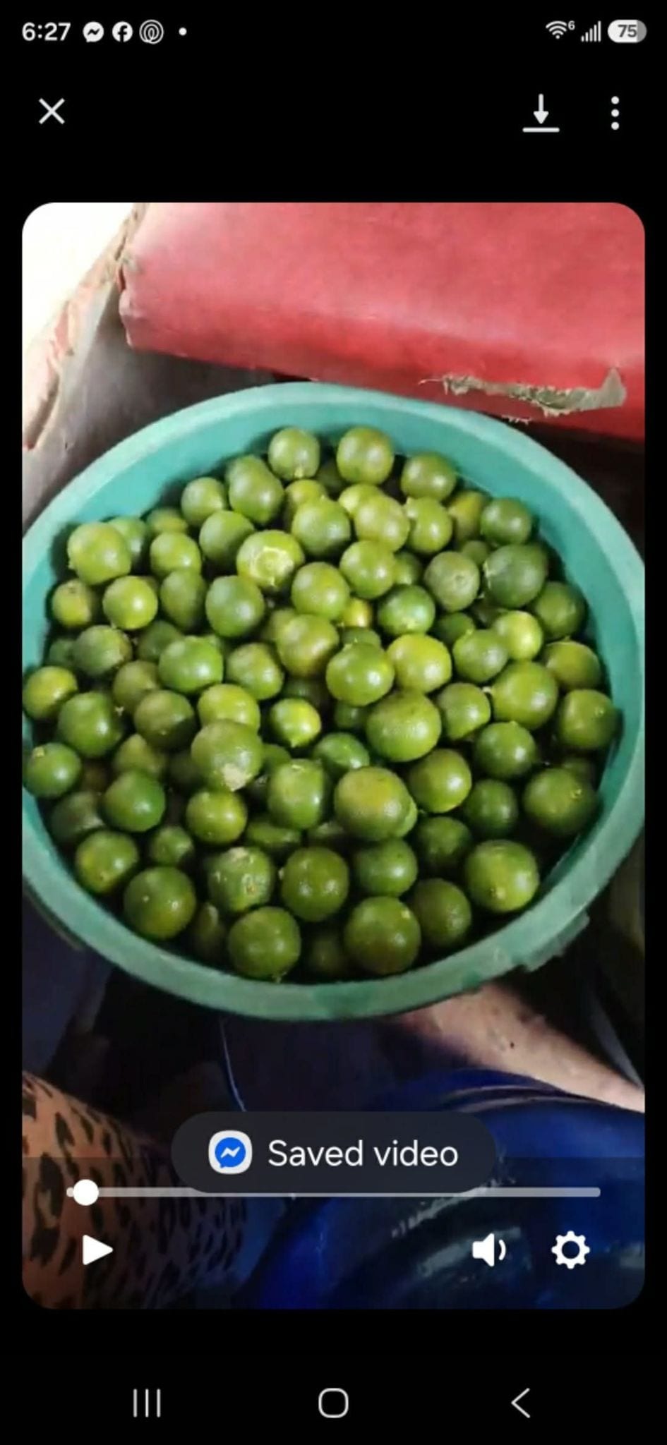 Looking for calamansi buyers