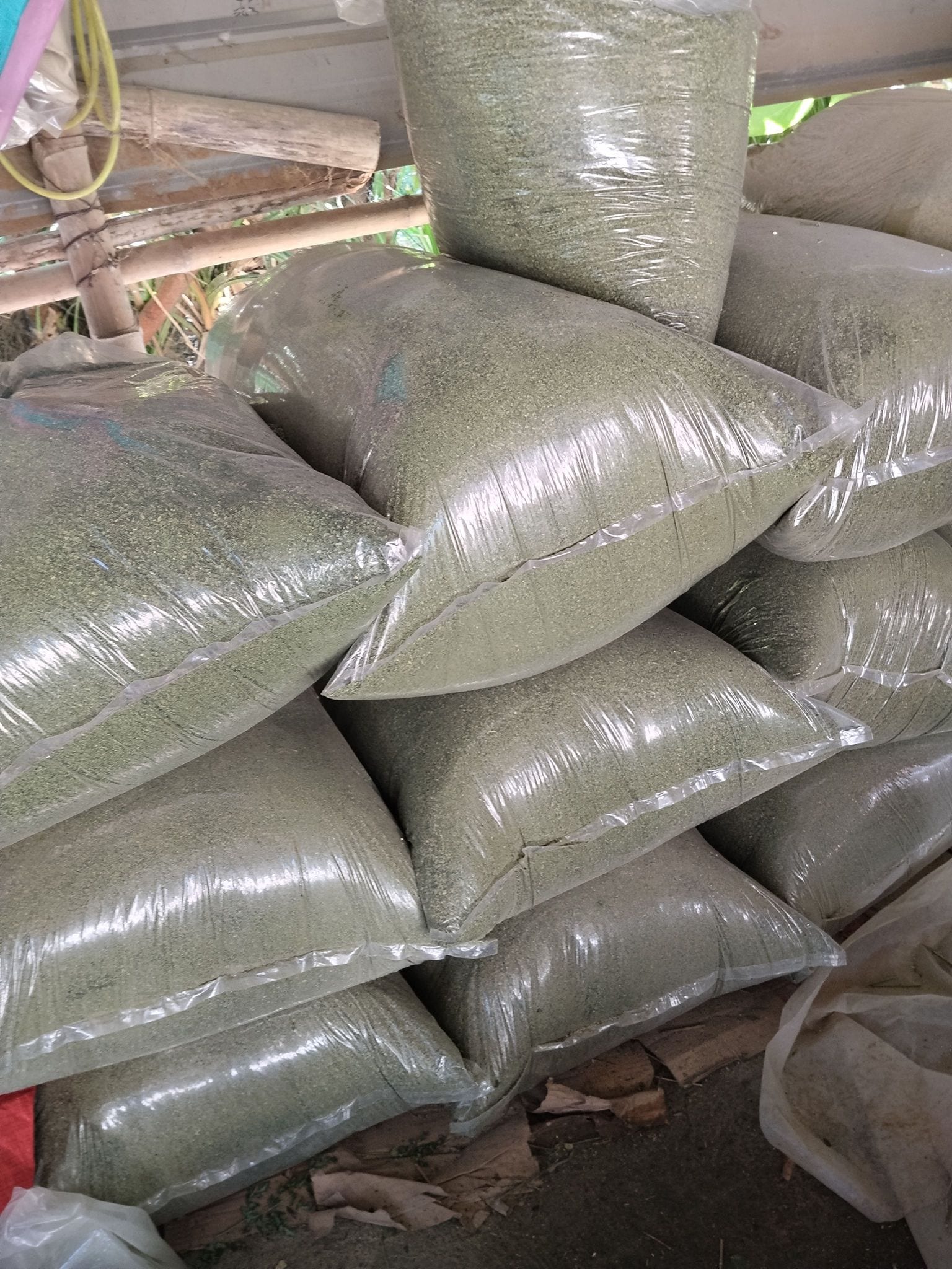 Mayeng herbs