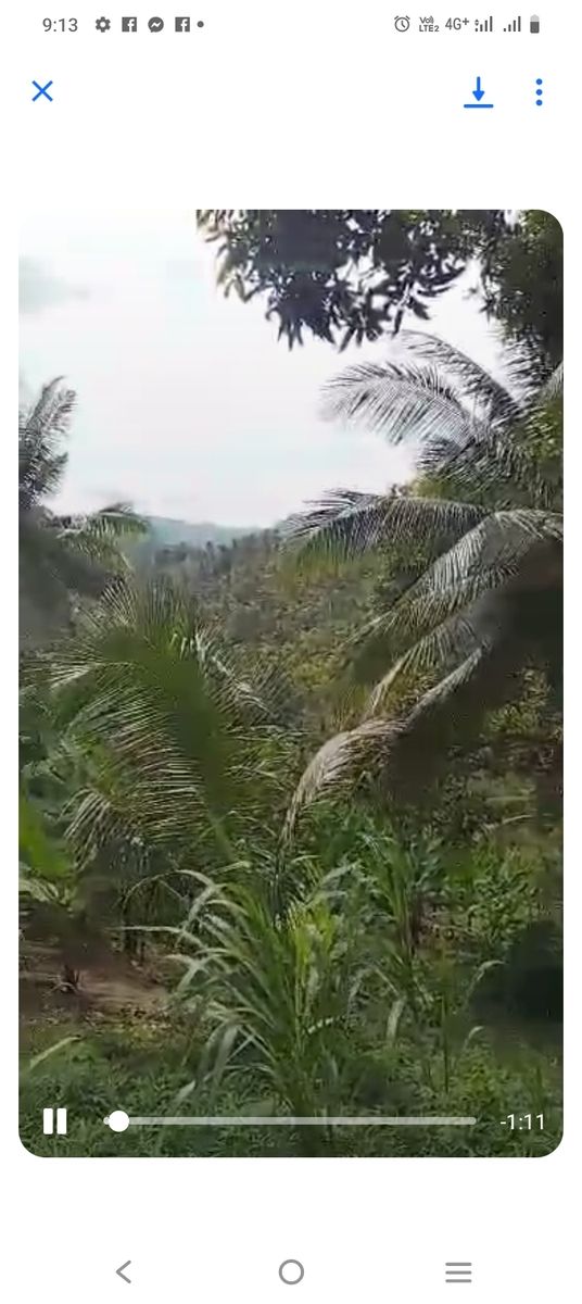 Farm lot in Maasim, General Santos city 