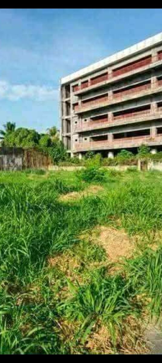 Large farm lot in Carmen, Davao del Norte 