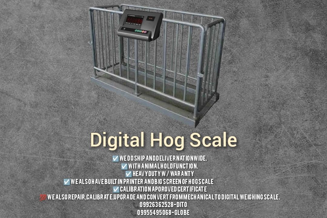 Hog scale