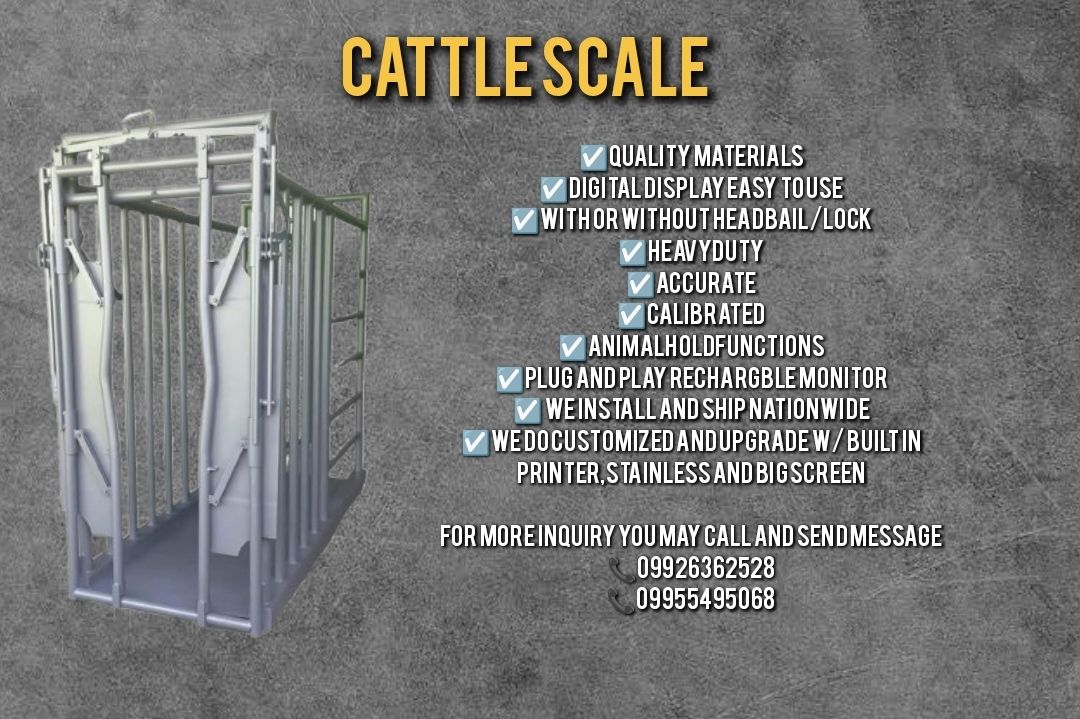 Cattle scale