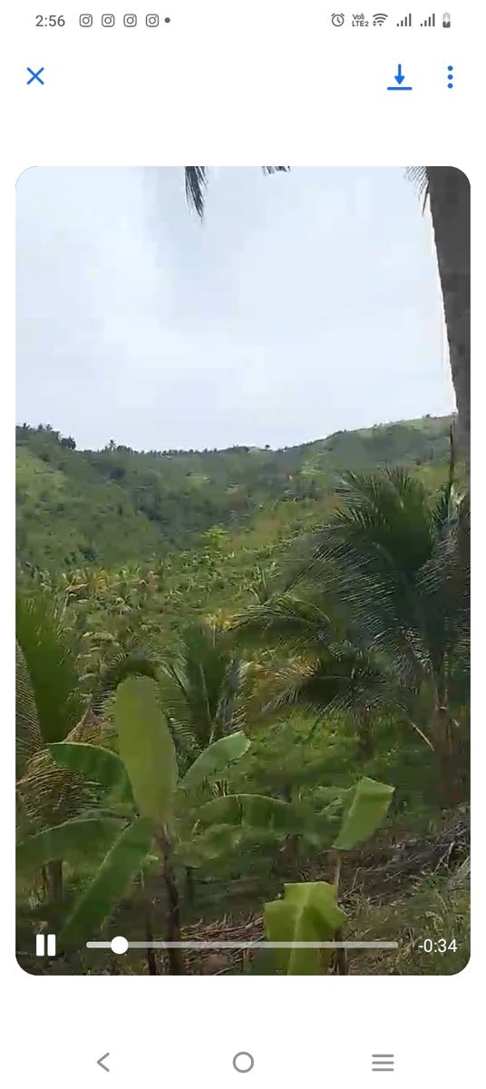 1,569 farm lot in malapatan, sarangani 