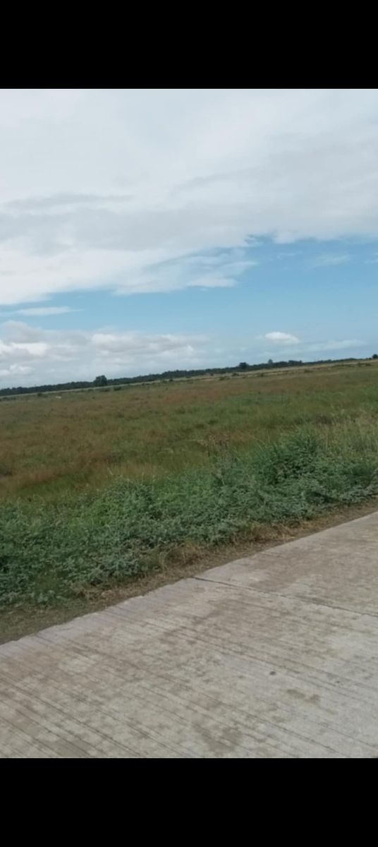 Coastal Farmland for Sale in Ubay, Bohol – 125 Hectares