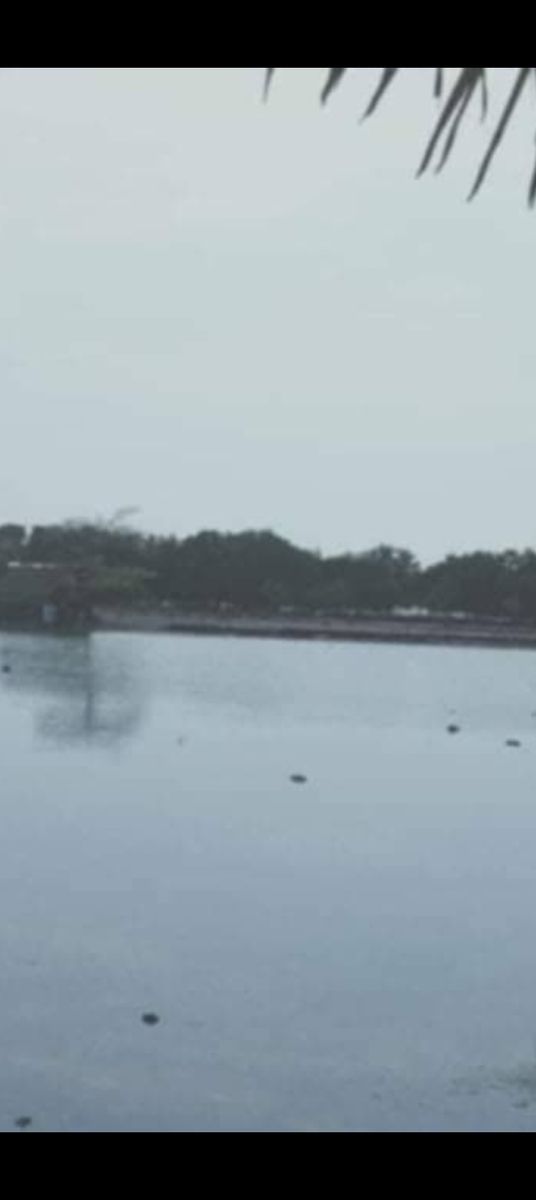 Farmland on an island in Talibon, Bohol