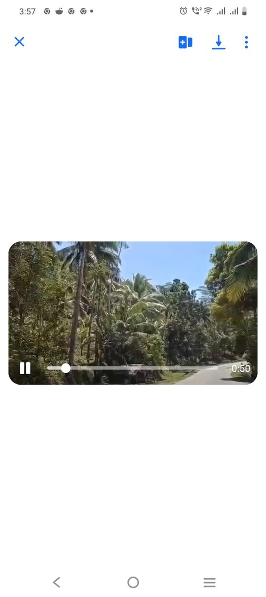 Farm lot in surigao del sur 