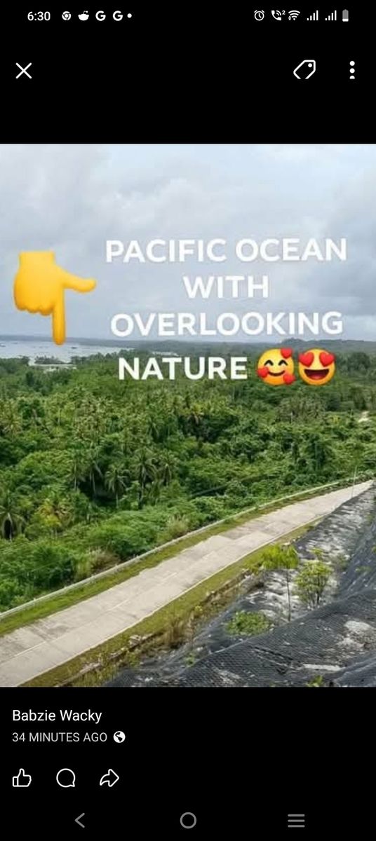 Farm lot in hinatuan, surigao del sur 