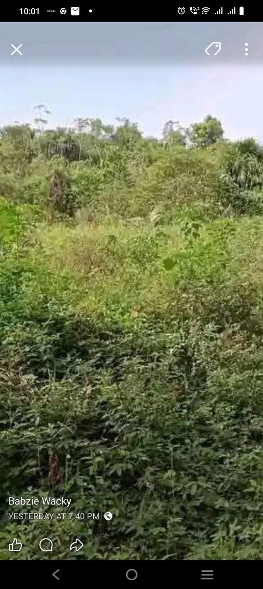 Farm lot in hinatuan, surigao del sur 