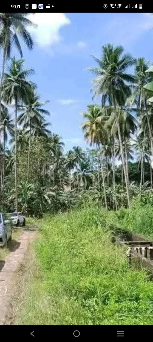 Farm lot in bislig, surigao del sur 
