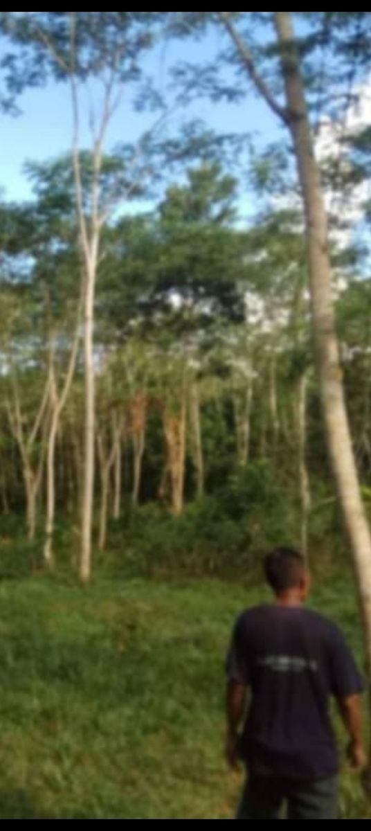 Farm lot in calinan, Davao city 