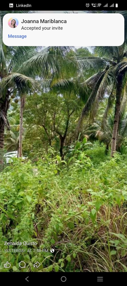 Farm lot in cabadbaran city