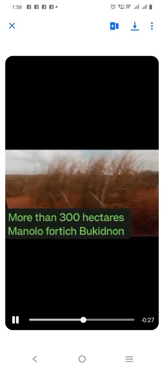 Agricultural lot in Manolo fortich, bukidnon 