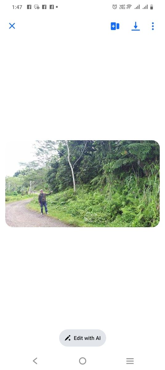 Farm lot in San Luis, Agusan del sur 