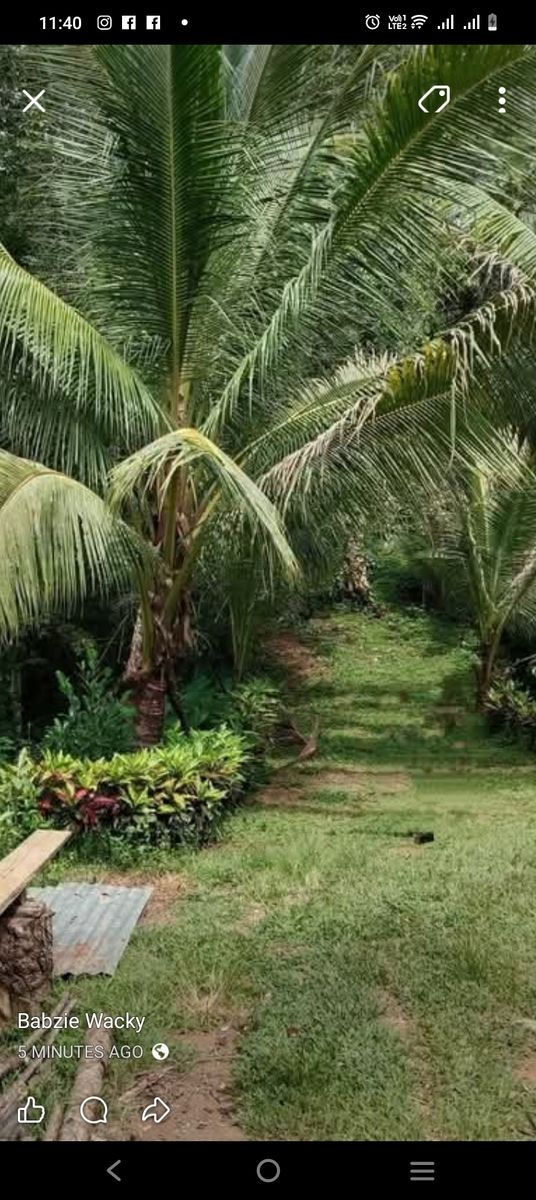 Farm lot in bayugan city, agusan del sur 