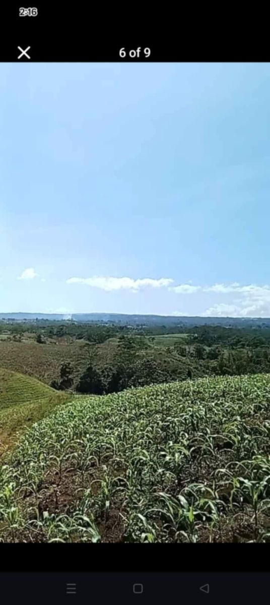 Farm lot in talakag, bukidnon 