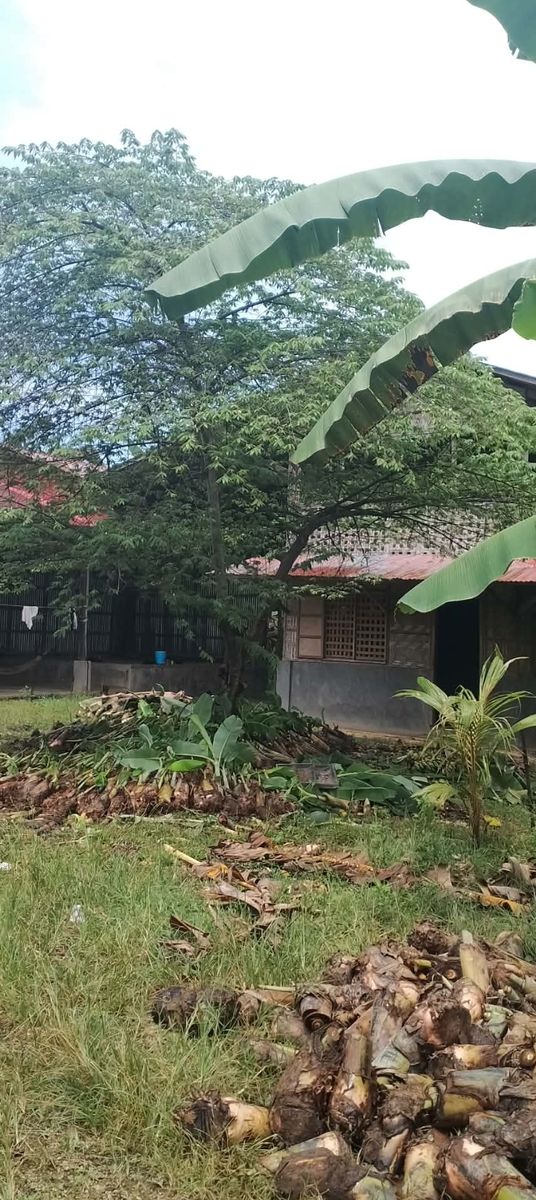 Farm lot in Asuncion, Davao del Norte 