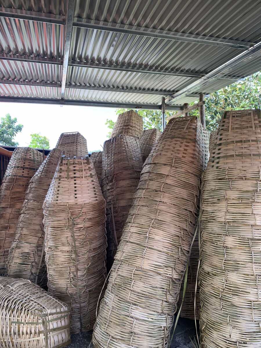 KAING packaging for Mango, tomato and watermelon