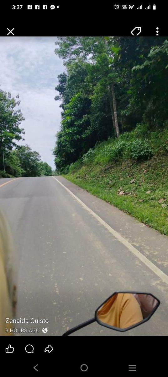 Farm lot in talibon, Bohol 