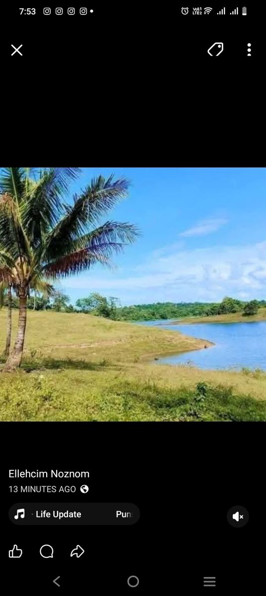 Farm lot in ubay, Bohol
