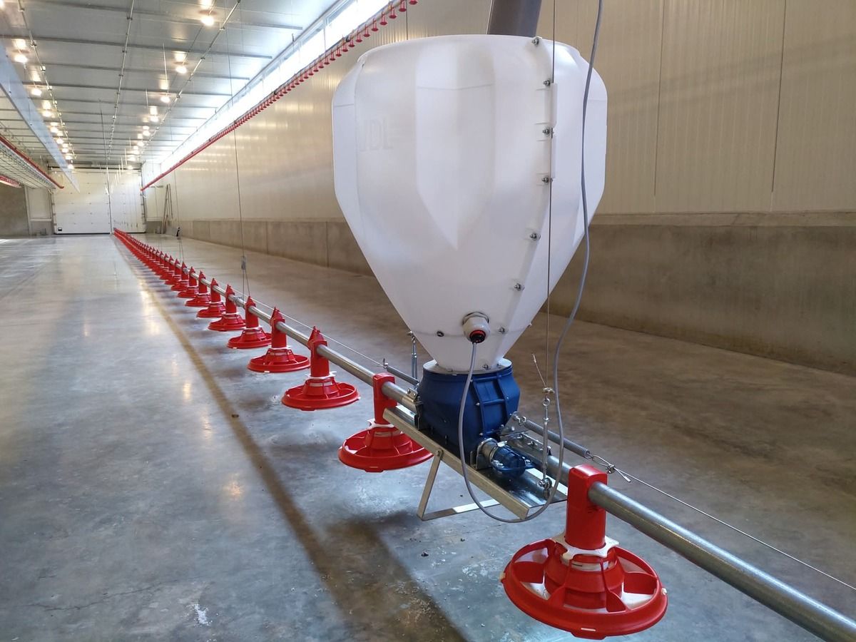 Poultry Equipment