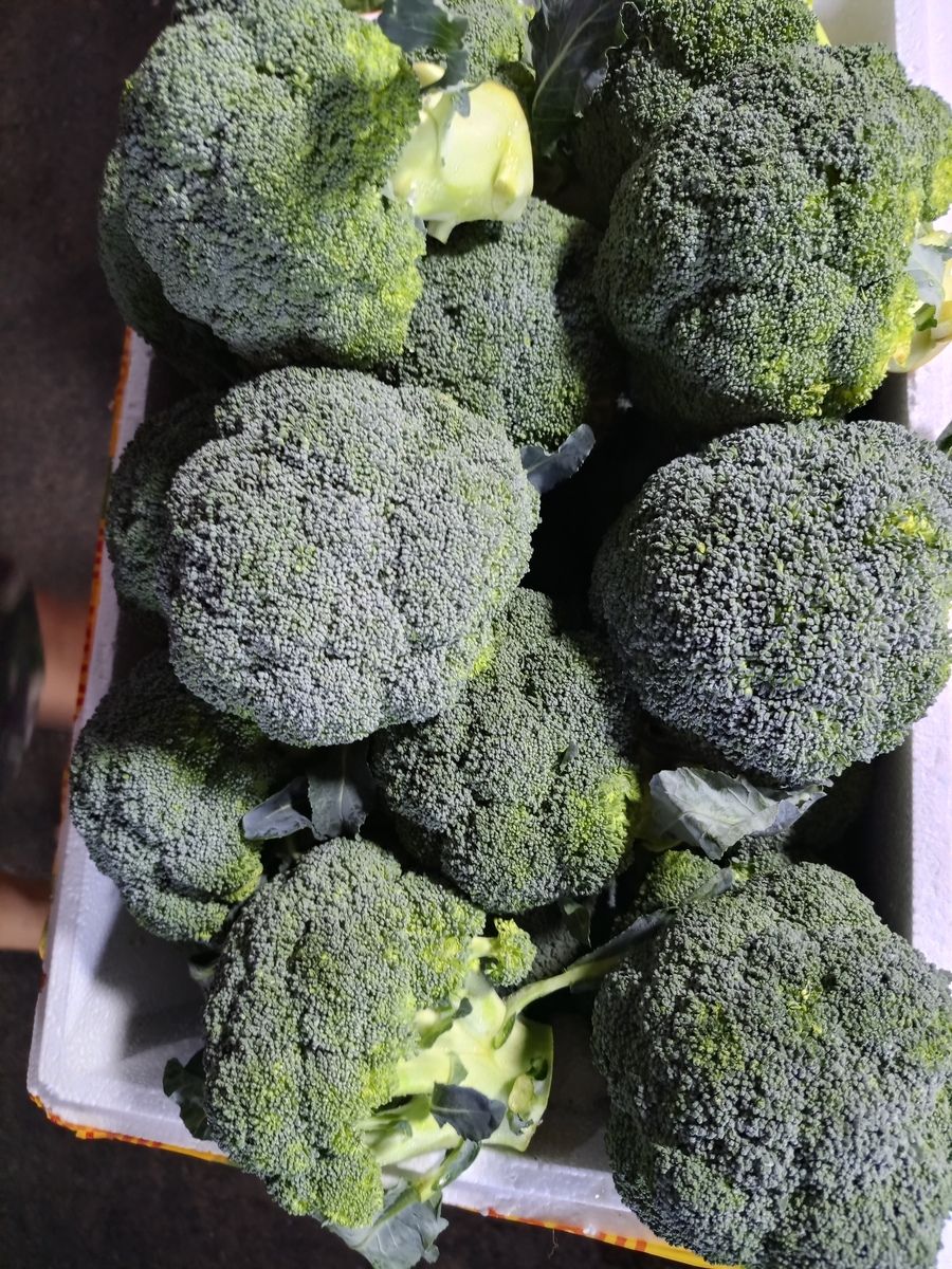 FRESH VEGETABLES IMPORTED AND LOCAL