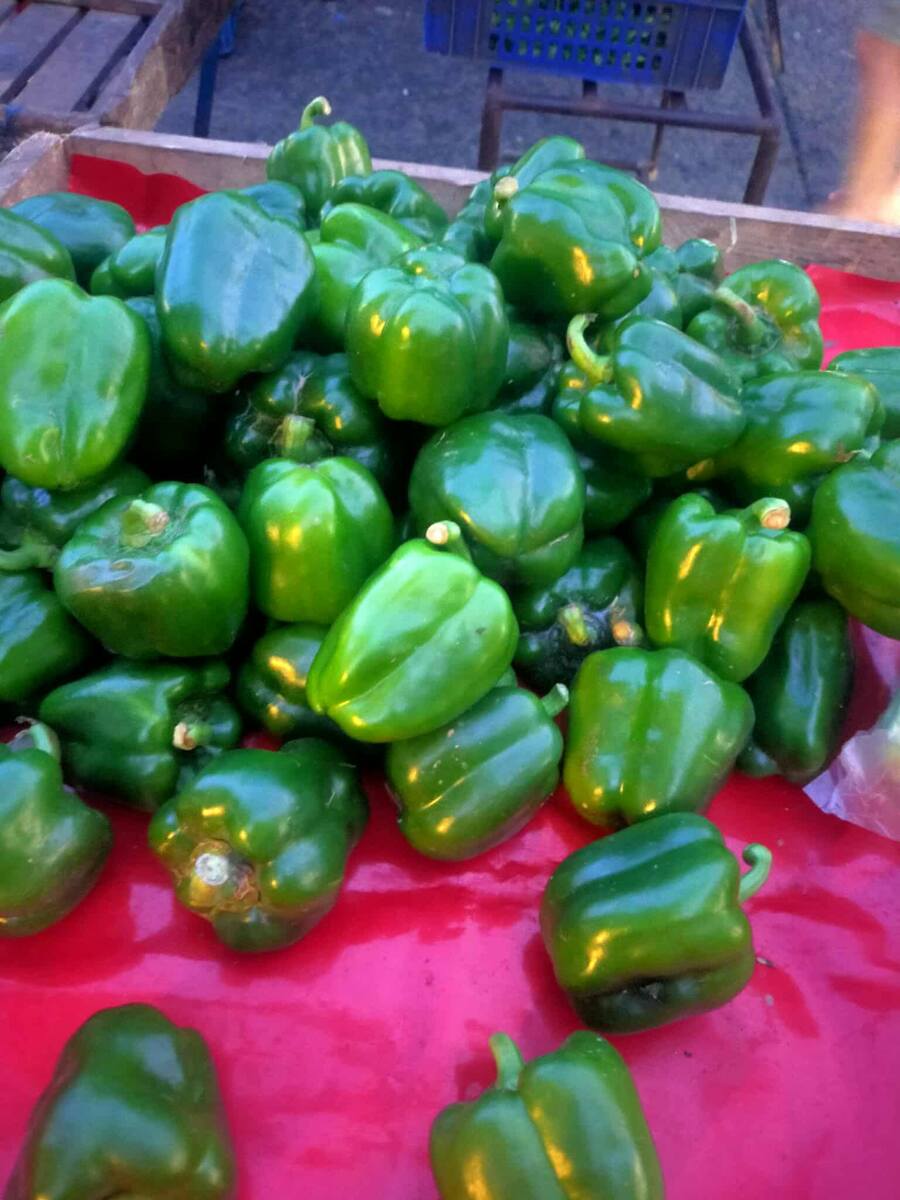 Fresh vegetables