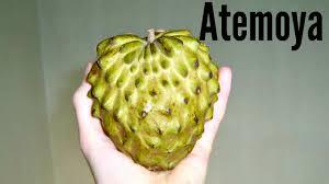 š Atis Atimoya Grafted Fruit Tree