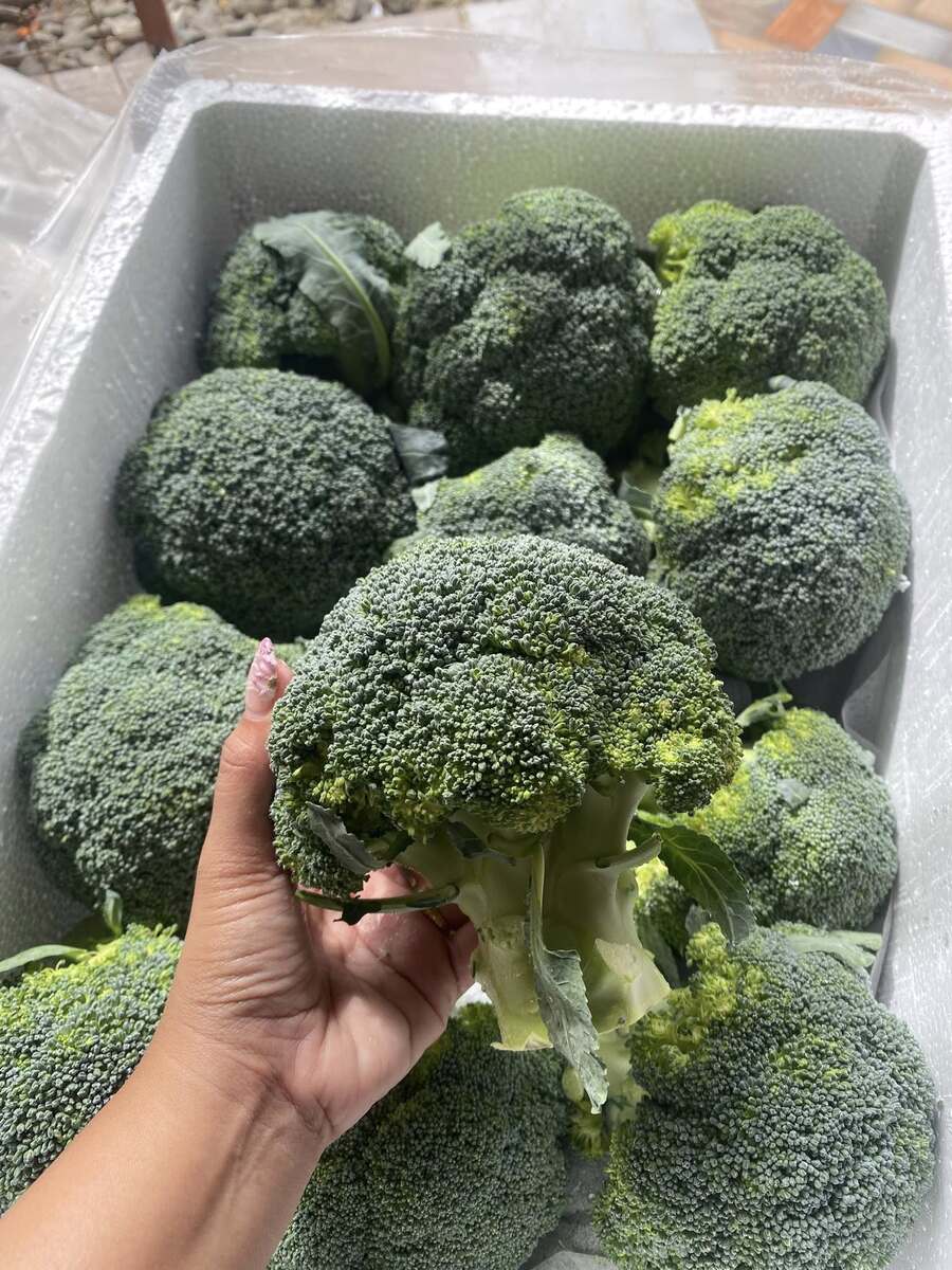 Imported Broccoli