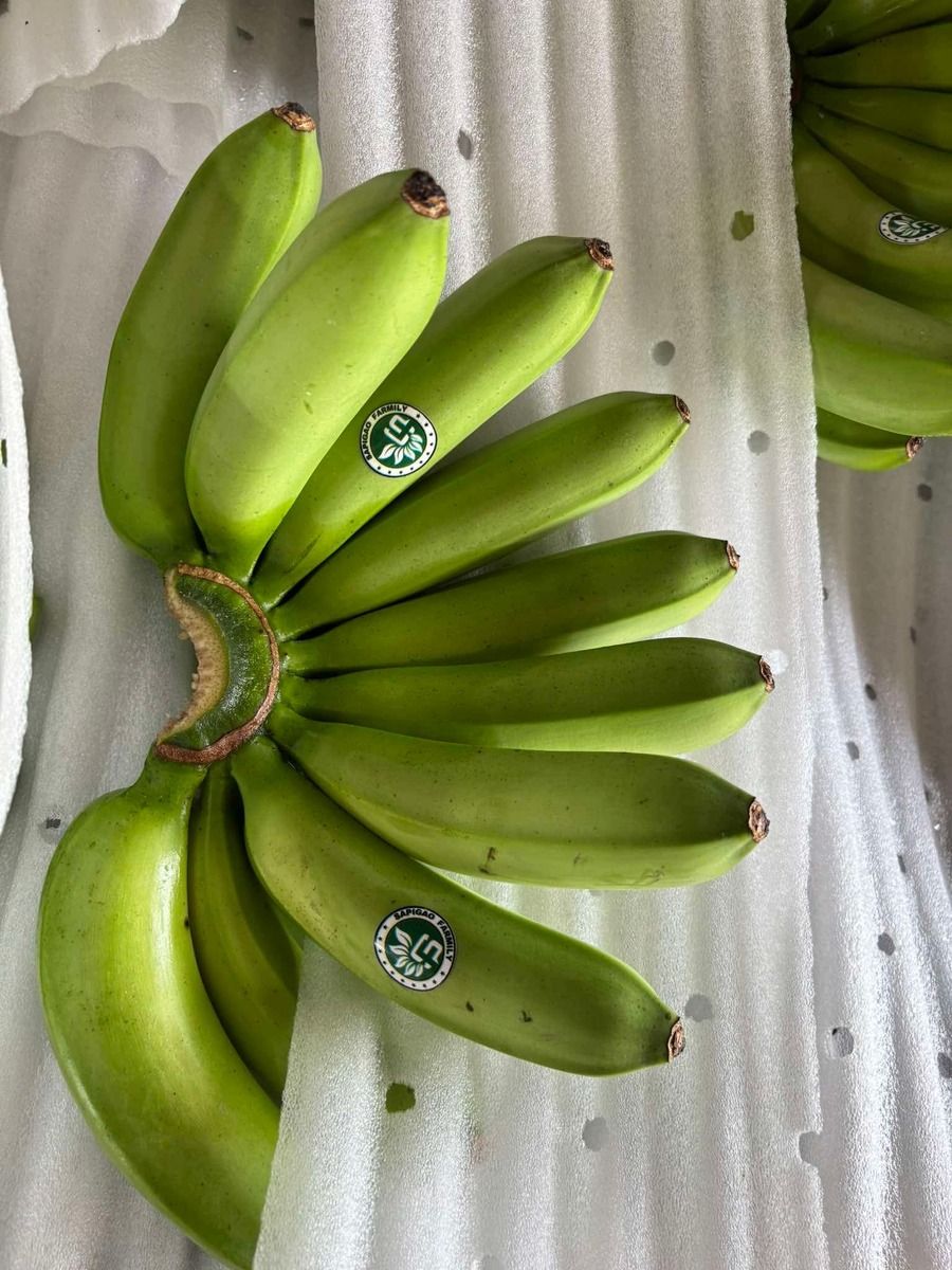 Banana Lakatan