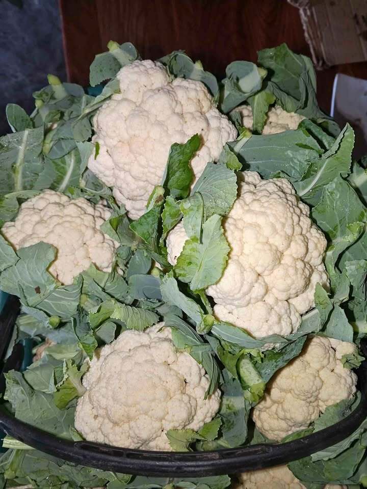 Cauliflower