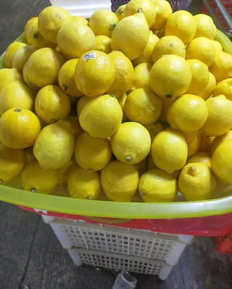 Lemon (₱25/pc)