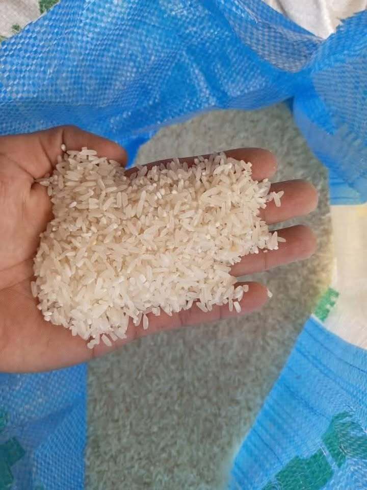 🌾 Jasmine Banay2 – Aromatic Rice