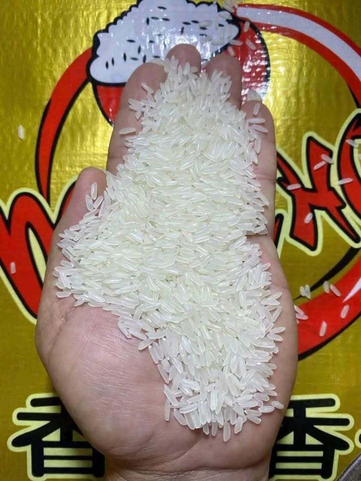 Mr. Chow – Jasmine Rice