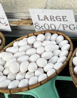 Large Eggs