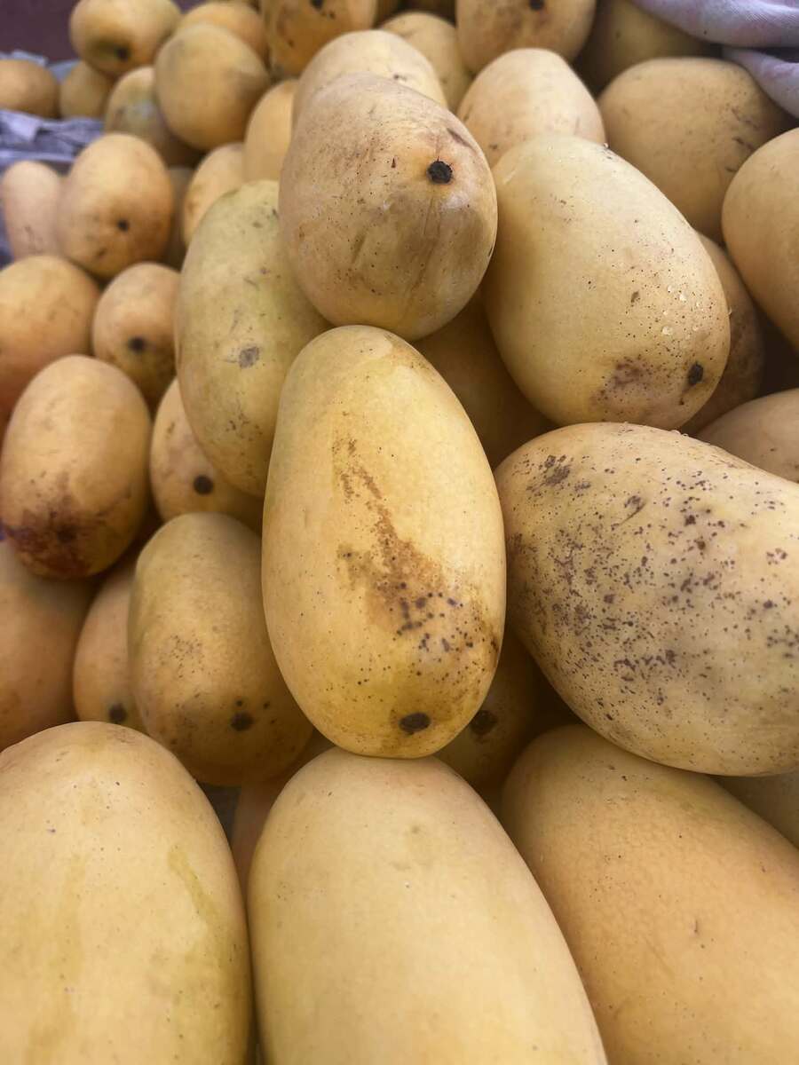 Mangga