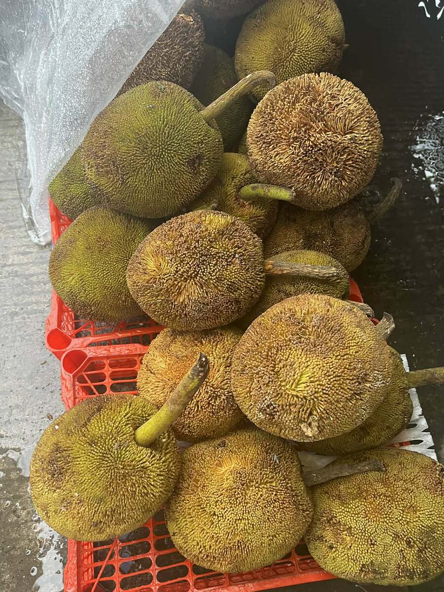Marang