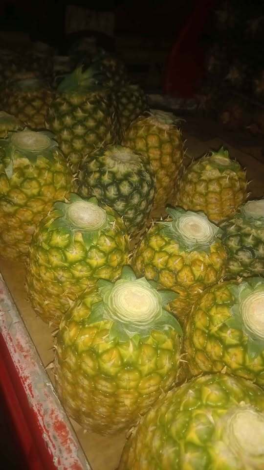 Pinya