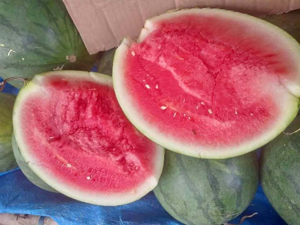 Main Product